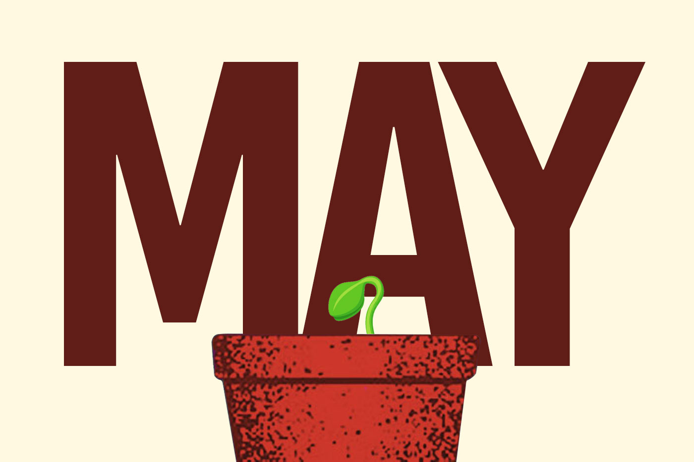 seedling in pot with MAY in background